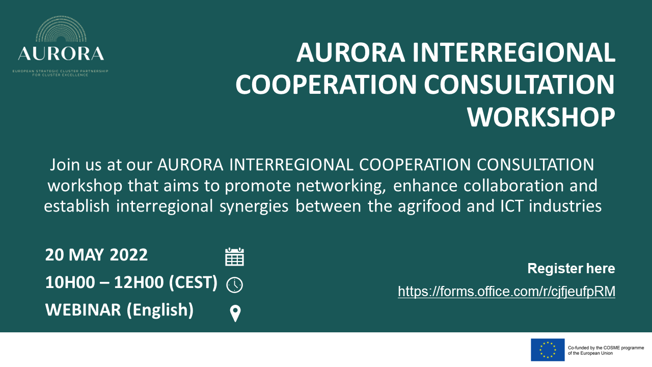 aurora_interregional_cooperation_workshop